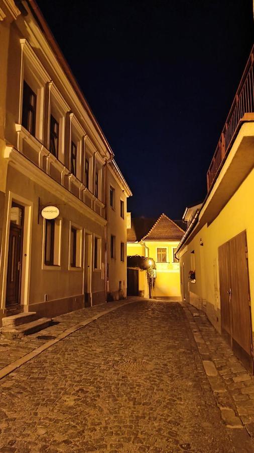 Penzion Harmonie Trhove Sviny ภายนอก รูปภาพ